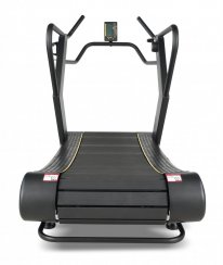 Treadmill Renegade Runner